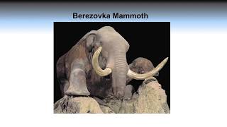 What Froze the Mammoths?  (And Why Didn't They Thaw?)