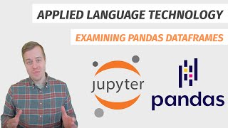 Examining pandas DataFrames
