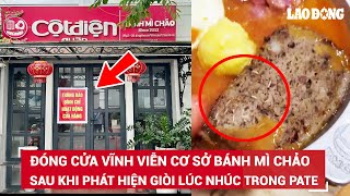 Kinh hoàng bánh mỳ chảo lúc nhúc giòi trong pate: Đóng cửa cơ sở Thái Bình, lỗi quản lý không chặt