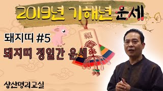 [기해년운세 #127,  2019년운세] 돼지띠  정일간 운세