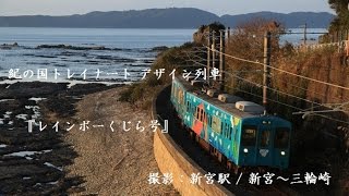 きのくに線 紀の国トレイナート デザイン列車 『レインボーくじら号』