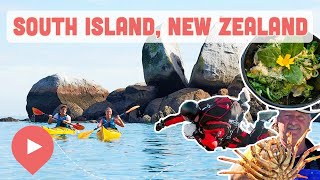 Best Things to Do in South Island, New Zealand