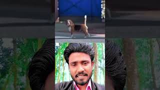 যারা বলেন  #vlogs #bd #vairalvideo