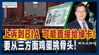 移民法庭输了不要怕 上诉到BIA 有可能直接发绿卡 | 从这三方面鸡蛋里挑骨头 或可翻盘 | 上诉BIA 30天内的关键步骤和成功策略 | 如何成功向联邦上诉委员会提出移民案件上诉 |移民美国