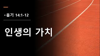 [생명의삶] 욥기 14장1-12 인생의 가치