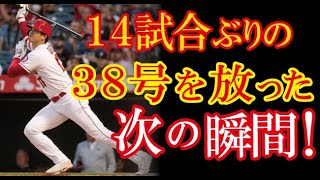 大谷翔平・14試合ぶりの38号HR!!待ちに待ったホームランに球場ファンが一体となった祝福の振る舞いが話題に！！（すごいぞJAPAN!）