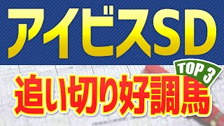 【アイビスサマーダッシュ】追い切りが絶好調だった「トップ３」はこの馬だ🐴【アイビスSD予想2021】