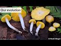 Fungal Diversity Survey: Championing fungal conservation, together