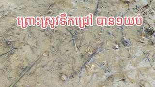 ព្រោះស្រូវទឹកជ្រៅ បាន១យប់