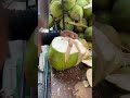 Fresh coconut cutting skill #shorts #asmr #coconut #streetfood #viral