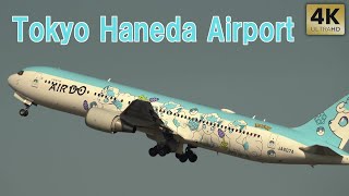 Tokyo Haneda Airport Terminal 2 Plane spotting 2501V5