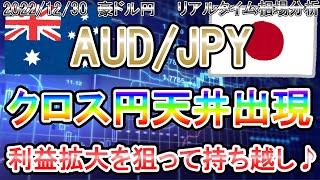 【新規エントリー成功♪】短期天井で今年は持ち越し♪《FX・相場分析》