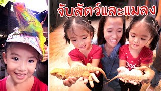 หนูยิ้มหนูแย้ม | จับสัตว์และแมลง