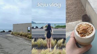 혼자 제주 동쪽 여행 브이로그 | vlog | 오른 | 레일바이크 | 샤브마니아 | 송당승마장 | 사려니숲길 | 친밀 | 카페 라라라 🍊🧡