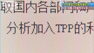 中国政府「TPPへの加入の可能性を検討」と公表(13/06/02)