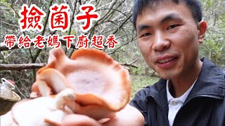 Take you into the mountains to collect mushrooms together![ Feng Small Farmers]