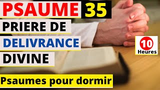 Psaume 35:Prière de délivrance divine(psaumes puissants pour méditer)(versets bibliques pour dormir)