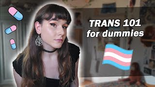 being trans 101 for dummies / MTF transition + hormones