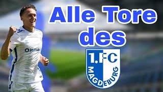 Alle Tore des 1.FC Magdeburgs in der Hinrunde