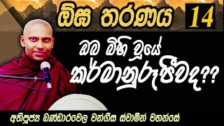 ඕඝ තරණය - 14 කොටස | ඉපදුනේ කවුද? මම යනු කවුද?? | Ven Bandarawela Wangeesa Thero