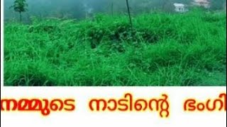 നമ്മുടെ നാടിന്റെ ഭംഗി