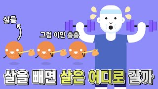 운동을 해서 살을 빼면 지방은 어디로 갈까