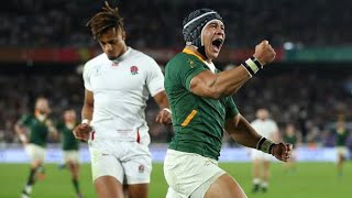 Every Cheslin Kolbe try for the Springboks || Cheslin Kolbe Highlights