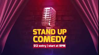 2589 -  Stand Up Comedy talk tv show Title Reveal animation intro