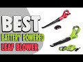 Best Battery Powered Leaf Blower in 2020 –  Ultimate Reviews!