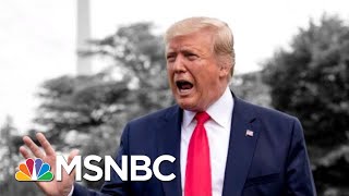 White House: Democrats Hate Donald Trump More Than They Love America | The 11th Hour | MSNBC