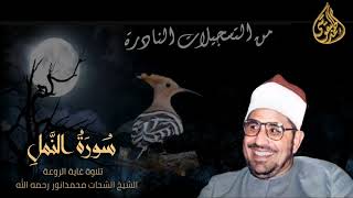 الشيخ الشحات محمد انور سورة النمل