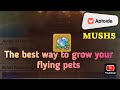 Legend of Mushroom- Grow your flying pets faster!