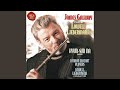 Concerto for Flute and Orchestra, Op. 39: II. Molto adagio