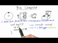 Classify the Bug Solution - Software Debugging