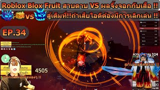 Roblox Blox Fruit สาบดาบ VS ผลจิ้งจอกกับเสือสู้เต็มที่!!ถ้าเสียไอดีต้องมีเลิกเล่น !!