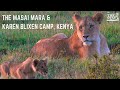 Unrivalled Wildlife Experiences & Conservation - Masai Mara & Karen Blixen Camp, Kenya | The Stay TV