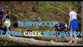 Berrywood's Cattail Creek Restoration 2019