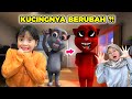 LEIKA DIAJARIN BUNDA MERAWAT KUCING [TALKING JUAN]