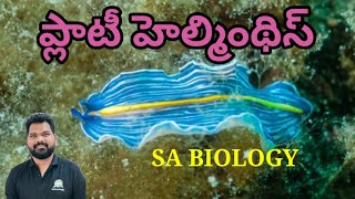 ఫ్లాటీ హెల్మెంథిస్ ||జంతుశాస్త్రం||NARESH BIOSCIENCE