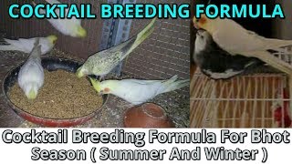 Cocktail Breeding Formula For Bhot Season ( Summer And Winter ) | Desi | Formula For Cocktail