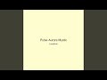 Pulse Aurora Mystic