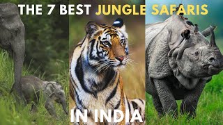 7 Best Wildlife Safari in India | National Park & Wildlife Sanctuary