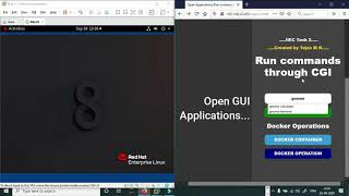 Python cgi web app to control remote server and run docker..