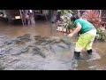 PAGKATAPOS NG BAGYO! NAGKALAT ANG MGA ISDA SA BAHA!!! BAGYONG PEPITO at KRISTINE!!! Philippines.