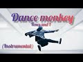 Tones and I - Dance Monkey