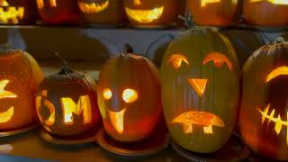 Transylvania University's PumpkinMania 2024 presented by U.K. Federal Credit Union