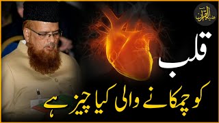 What is it that shines the Heart | Mufti Taqi Usmani Bayan | Zia Al-Quran