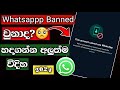 whatsapp banned my number solution Sinhala Tutorial 2024
