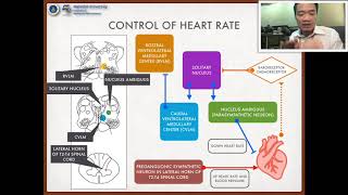 Foundation of Neuroscience | 13.2 Central Control of Autonomic System