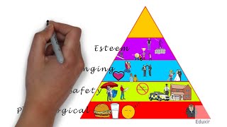 Maslow's Hierarchy of Needs for the 21st Century (Scott Barry Kaufman Interview)